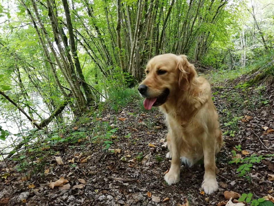 Juste une calypso de la Cité des Etangs