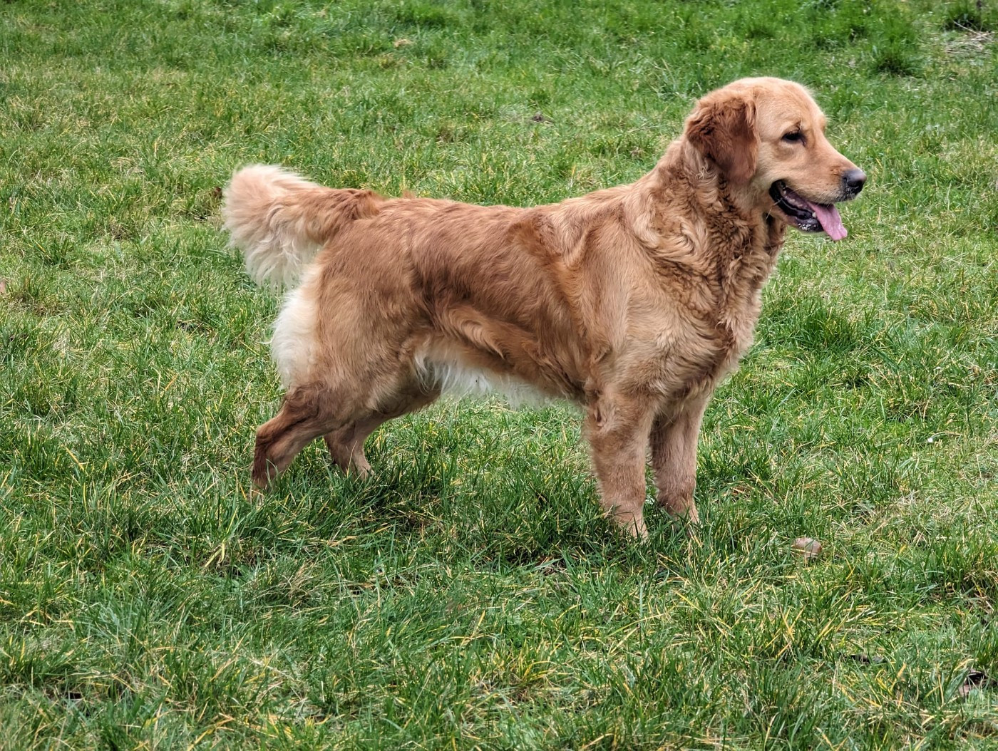 Sublime Petite Chose De L’Auberge De La Voûte